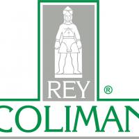 Rey Coliman Propiedades