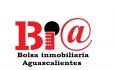 BIA Bolsa Inmobiliaria Aguascalientes