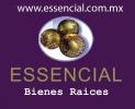 Essencial Bienes Raices