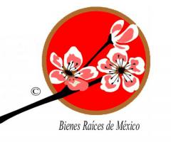 Inmobiliaria Sakura Bienes Raices de Mexico.