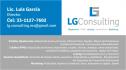 LG CONSULTING