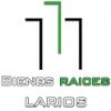 Bienes Raices Larios