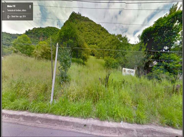 Foto Terreno en Venta en Tamazula de Gordiano, Jalisco - $ 4.000.000 - TEV127421 - BienesOnLine
