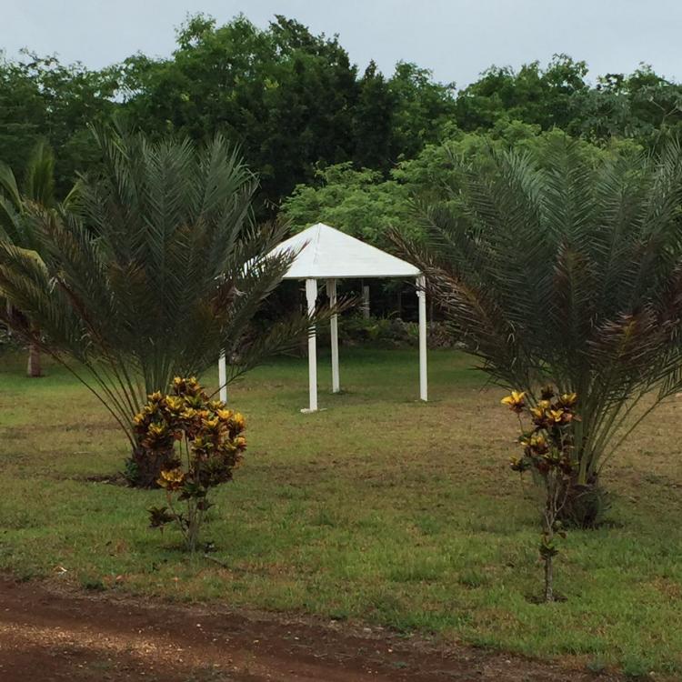 Foto Rancho en Venta en Leona Vicario, Quintana Roo - 7 hectareas - $ 2.300.000 - RAV216254 - BienesOnLine