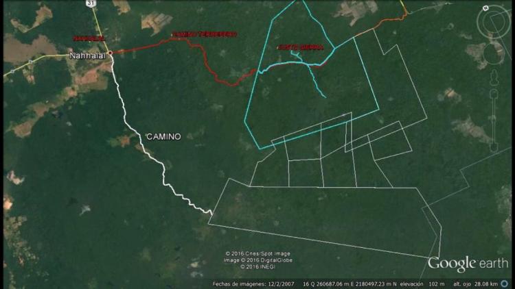 Foto Terreno en Venta en Tekax de Alvaro Obregón, Yucatan - 4500 hectareas - $ 22.500.000 - TEV240527 - BienesOnLine