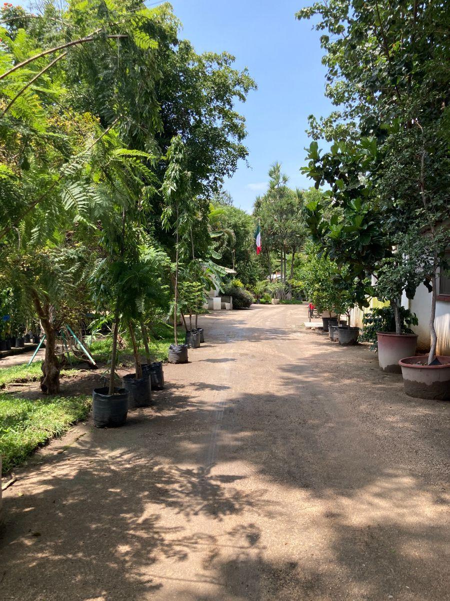 Foto Finca en Venta en Yautepec de Zaragoza, Morelos - $ 74.000.000 - FIV364104 - BienesOnLine