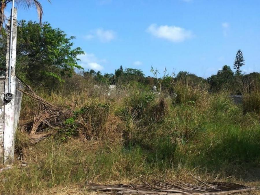 Foto Terreno en Venta en Misantla, Veracruz - $ 175.000 - TEV330097 - BienesOnLine