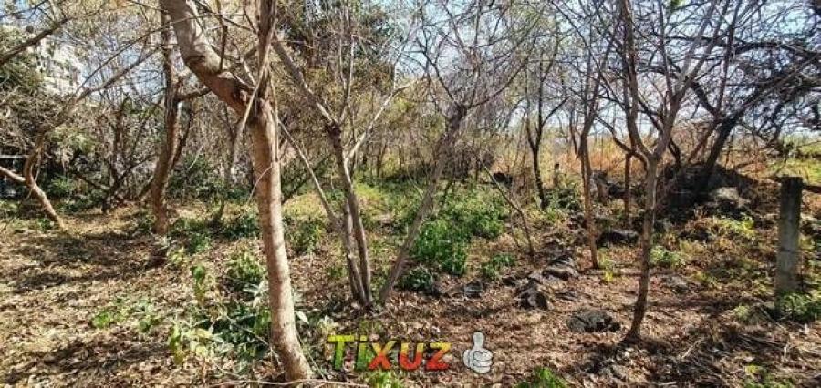 Foto Terreno en Venta en CENTRO, Tepecoacuilco de Trujano, Guerrero - $ 1.250.000 - TEV342158 - BienesOnLine