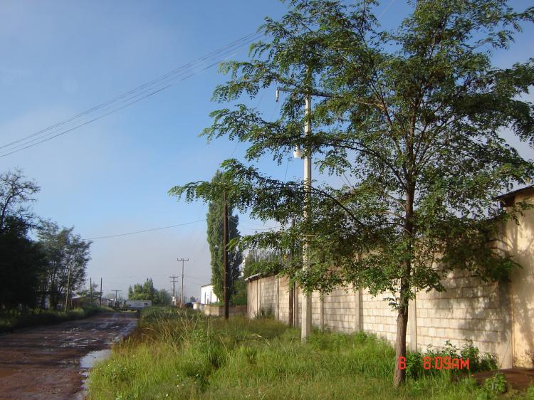 Foto Terreno en Venta en Colonia El Molino, , Chihuahua - 5 hectareas - $ 5.000.000 - TEV5271 - BienesOnLine