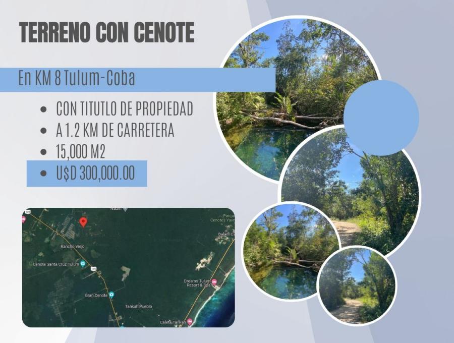Foto Terreno en Venta en Tulum, Quintana Roo - U$D 300.000 - TEV326747 - BienesOnLine