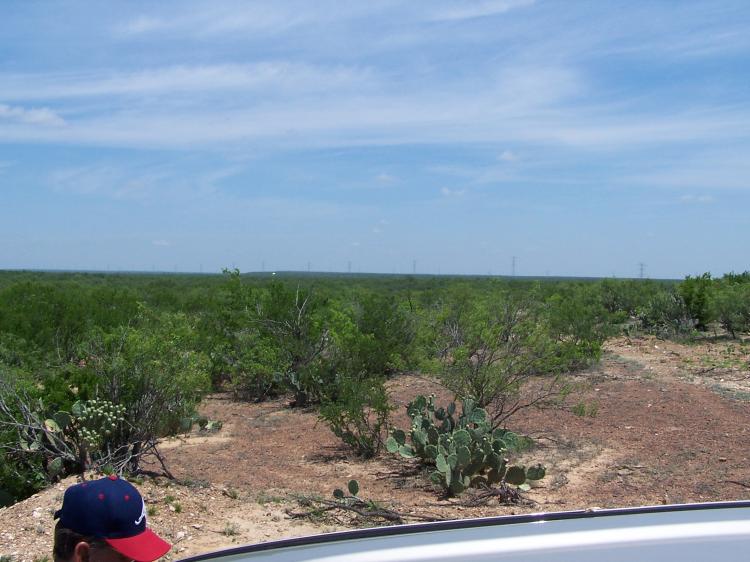 Foto Rancho en Venta en Nuevo Laredo, Tamaulipas - 1488 hectareas - U$D 2.500.000 - RAV11479 - BienesOnLine