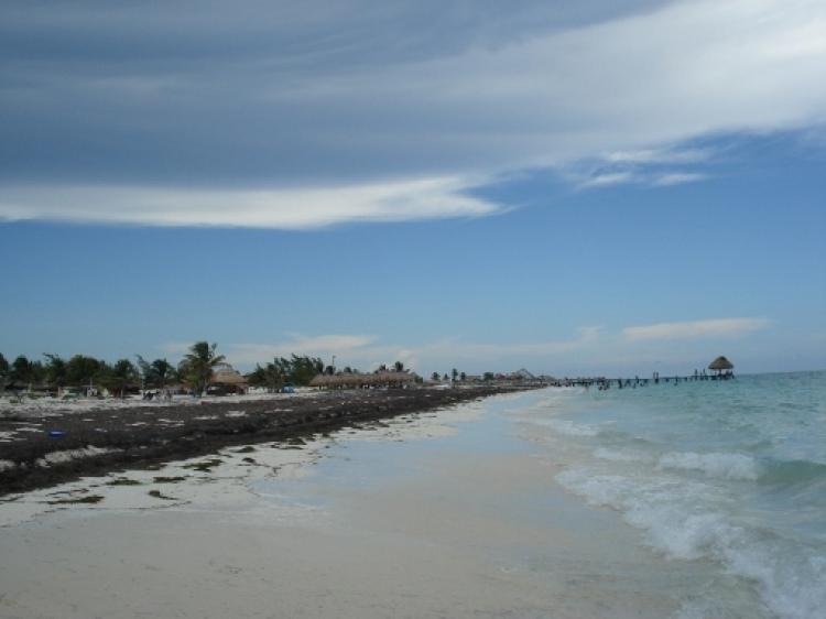 Foto Terreno en Venta en Isla Blanca Q. Roo, Quintana Roo - U$D 350 - TEV778 - BienesOnLine