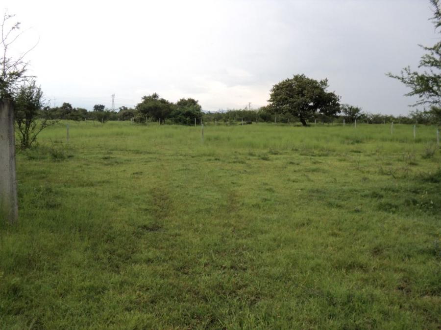 Foto Terreno en Venta en Joya de Dios, Ampliación Caudillo del sur, Yautepec de Zaragoza, Morelos - $ 110.000 - TEV257263 - BienesOnLine