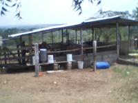 Rancho en Venta en  Minatitlán