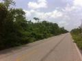 Terreno en Venta en Ruta de los cenotes entre Puerto Morelos y Leona V Puerto Morelos