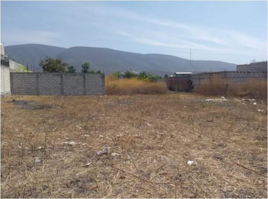 Foto Terreno en Venta en Guadalupe Victoria, Zacatepec de Hidalgo, Morelos - $ 760.000 - TEV317382 - BienesOnLine