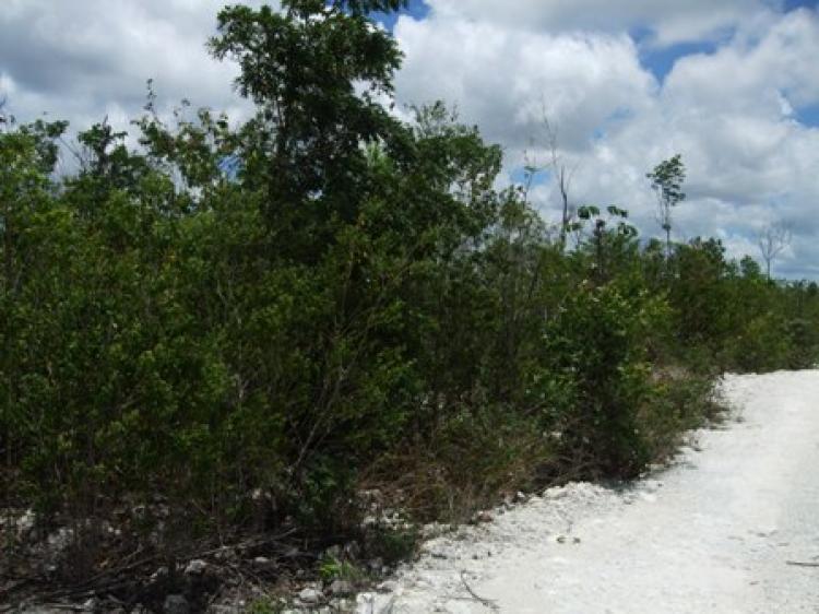 Foto Terreno en Venta en COLEGIOS, Cancn, Quintana Roo - $ 3.000.000 - TEV12959 - BienesOnLine