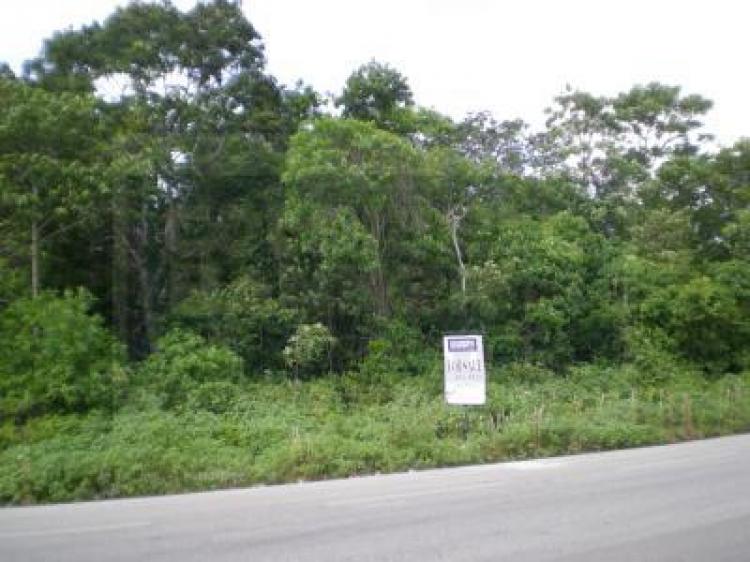 Foto Terreno en Venta en Tulum, Quintana Roo - 18 hectareas - U$D 1.440.000 - TEV29552 - BienesOnLine