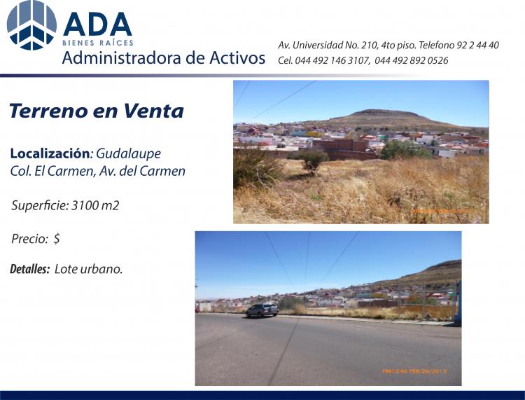 Foto Terreno en Venta en El Carmen, Guadalupe, Zacatecas - $ 1.600 - TEV79456 - BienesOnLine