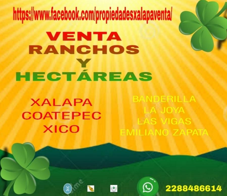 Foto Rancho en Venta en CENTRO, Xico, Veracruz - 4 hectareas - $ 3.500.000 - RAV318621 - BienesOnLine