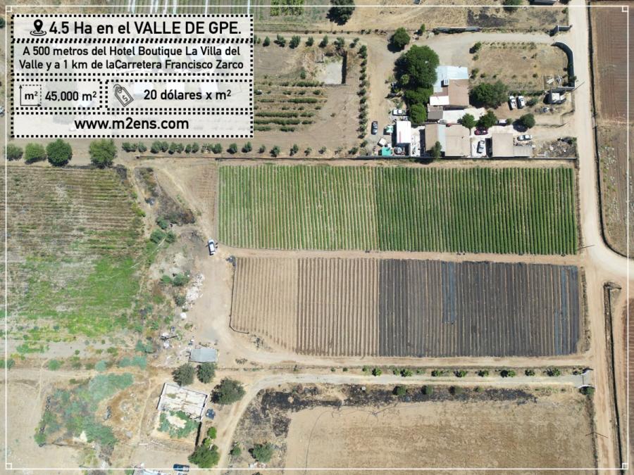 Foto Rancho en Venta en Valle De Guadalupe, Valle de Guadalupe, Baja California - 4 hectareas - RAV349436 - BienesOnLine