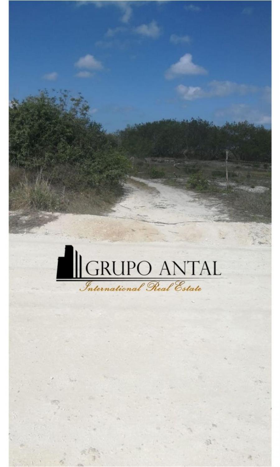 Foto Terreno en Venta en Celestn, Yucatan - 5 hectareas - $ 5.000.000 - TEV251438 - BienesOnLine
