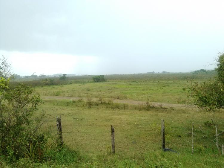 Foto Terreno en Venta en Txpam de Rodrguez Cano, Veracruz - 500 hectareas - $ 1.214.000.000 - TEV240864 - BienesOnLine