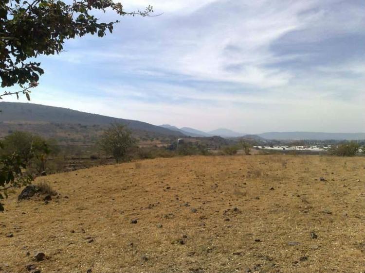 Foto Terreno en Venta en Ario de Rayn, Zamora de Hidalgo, Michoacan de Ocampo - 5 hectareas - $ 5.750.000 - TEV144824 - BienesOnLine