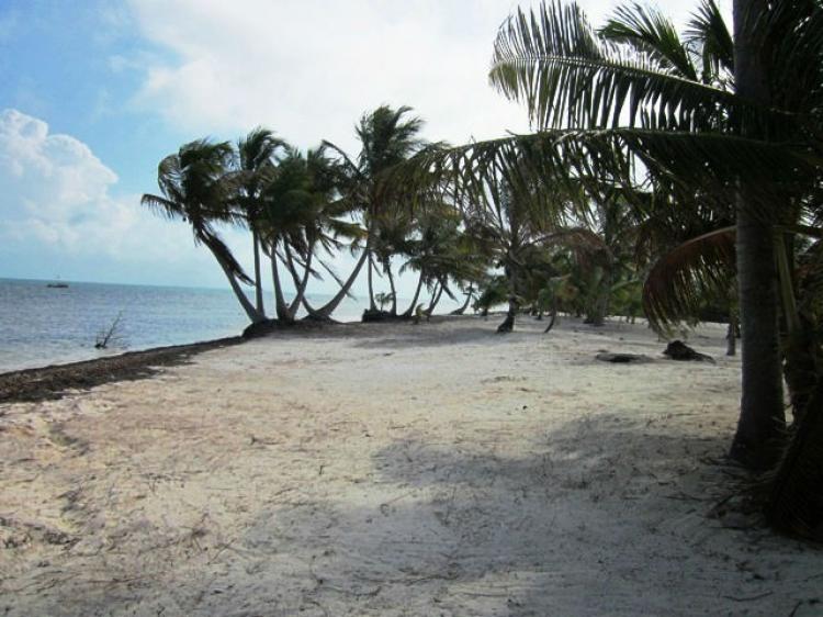 Foto Terreno en Venta en Felipe Carrillo Puerto, Quintana Roo - 60 hectareas - $ 54.000.000 - TEV98236 - BienesOnLine