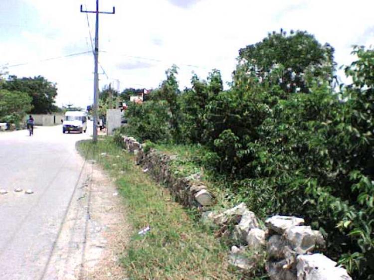 Foto Terreno en Venta en tulum region 5, Tulum, Quintana Roo - $ 2.500.000 - TEV14534 - BienesOnLine