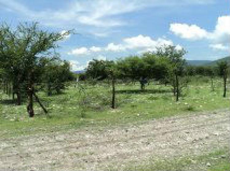 Foto Terreno en Venta en barranca honda, Tlaltizapn, Morelos - $ 65.000 - TEV119232 - BienesOnLine