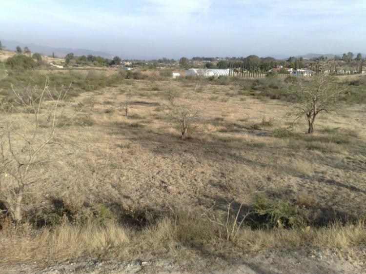 Foto Terreno en Venta en Santo Domingo Barrio Alto, Villa de Etla, Oaxaca - $ 2.000.000 - TEV141567 - BienesOnLine