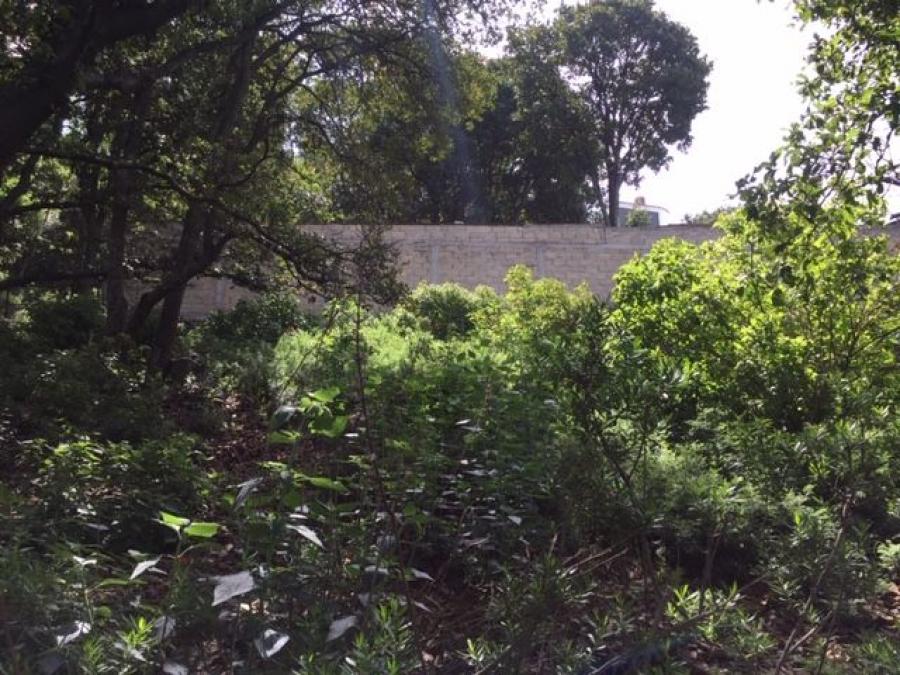 Foto Terreno en Venta en CAADA REAL, Tepotzotln, Mexico - $ 290.000 - TEV268743 - BienesOnLine