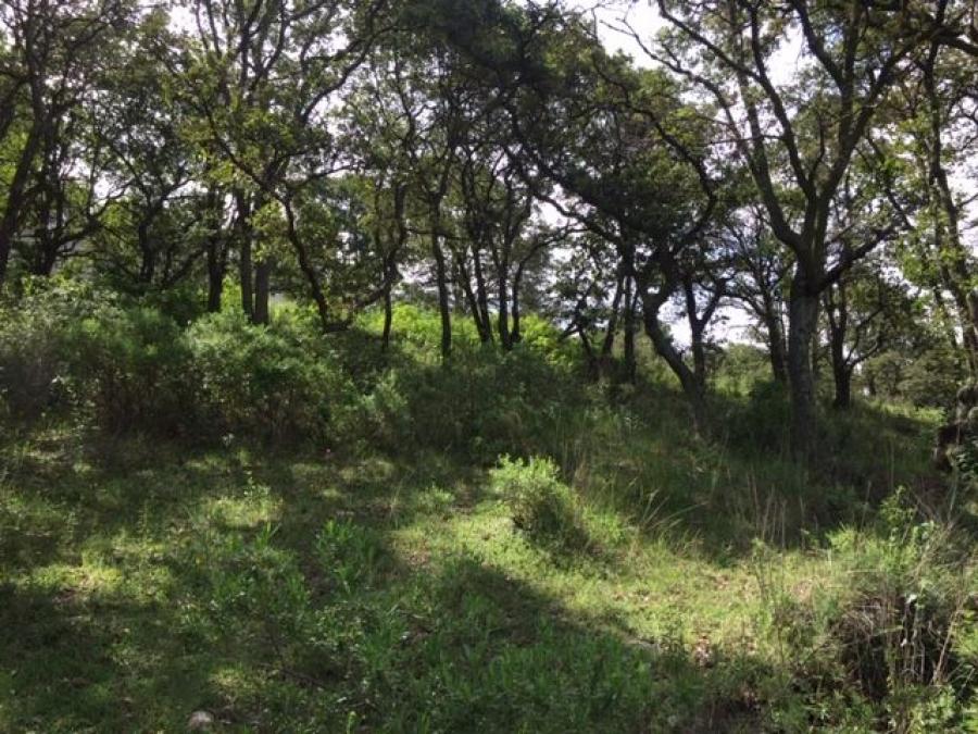 Foto Terreno en Venta en CAADA REAL, Tepotzotln, Mexico - $ 290.000 - TEV269010 - BienesOnLine