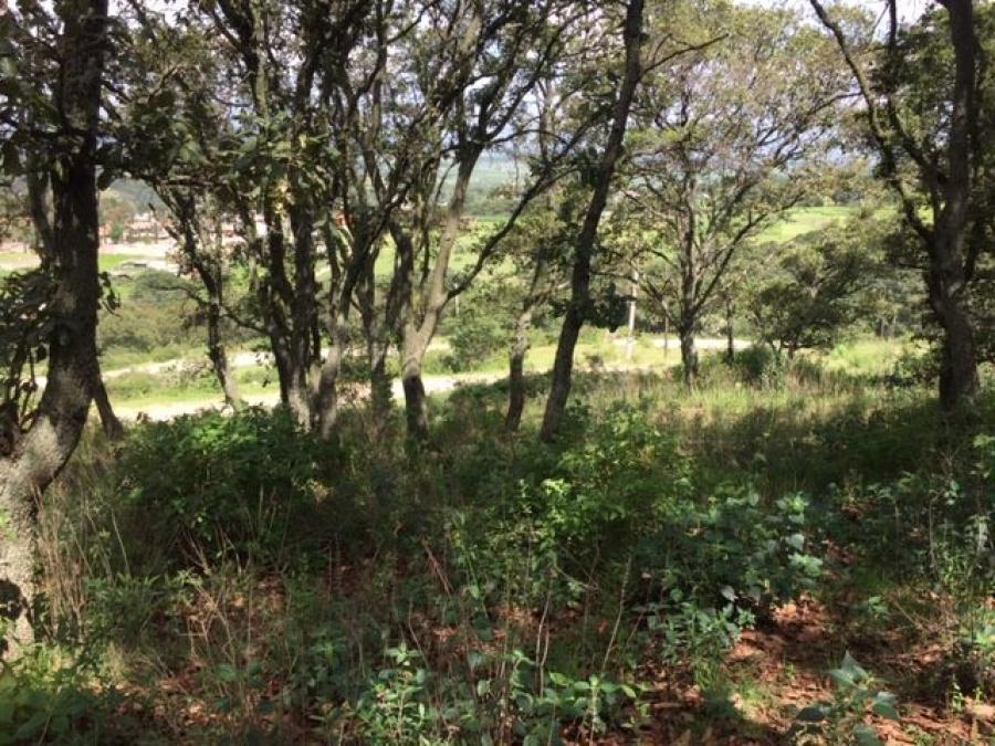 Foto Terreno en Venta en SAN MIGUEL CAADAS, Tepotzotln, Mexico - $ 290.000 - TEV271639 - BienesOnLine