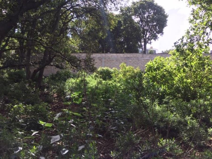 Foto Terreno en Venta en SAN MIGUEL CAADAS, Tepotzotln, Mexico - $ 290.000 - TEV275218 - BienesOnLine