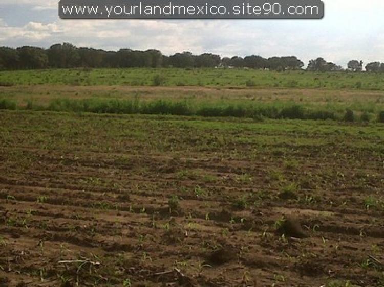 Foto Terreno en Venta en Zapopan, Jalisco - $ 160 - TEV28379 - BienesOnLine