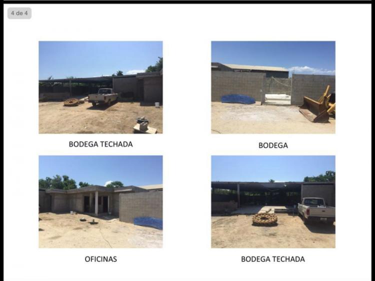 Foto Bodega en Renta en San Jos del Cabo, Baja California Sur - $ 40.000 - BOR174661 - BienesOnLine