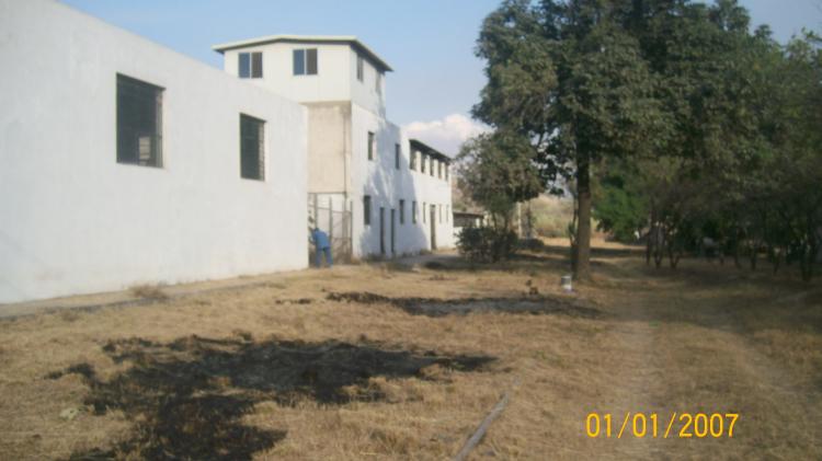 Home in Metric Way