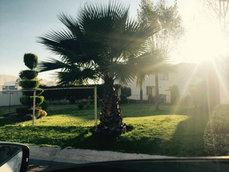 Home in Metric Way