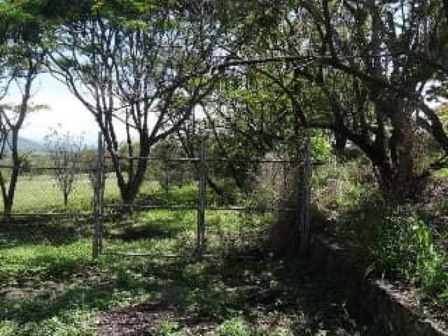 Foto Terreno en Venta en TEQUESQUITENGO, Jojutla, Morelos - $ 1.330.000 - TEV312959 - BienesOnLine