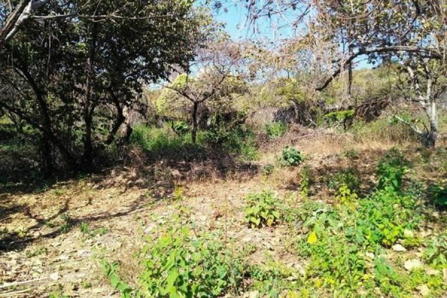 Foto Terreno en Venta en JARDINES DE PALMIRA, Cuernavaca, Morelos - $ 5.000.000 - TEV314095 - BienesOnLine