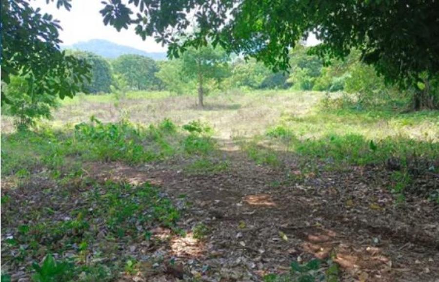 Foto Terreno en Venta en LOCALIDAD CERRO AMARILLO, San Andrs Tuxtla, Veracruz - $ 90.000 - TEV351870 - BienesOnLine