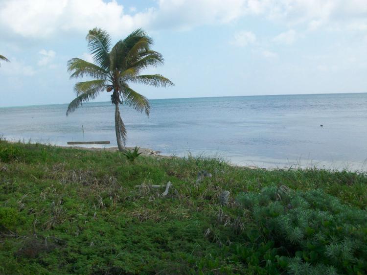 Foto Terreno en Venta en Xcalak, Quintana Roo - 7 hectareas - U$D 850.000 - TEV151426 - BienesOnLine