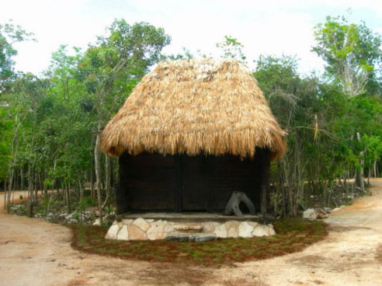 Foto Casa en Venta en Tulum, Quintana Roo - 1 hectareas - U$D 42.000 - CAV51755 - BienesOnLine