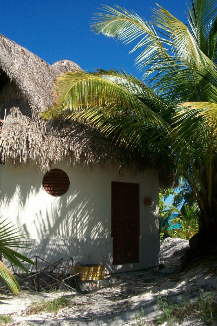 Foto Casa en Venta en Tulum, Quintana Roo - U$D 350.000 - CAV52789 - BienesOnLine