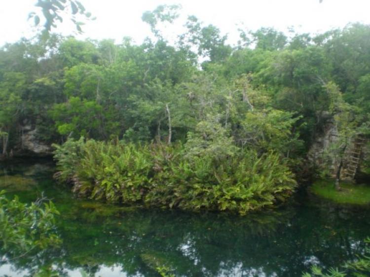 Foto Terreno en Venta en Tulum, Quintana Roo - U$D 883.200 - TEV9218 - BienesOnLine