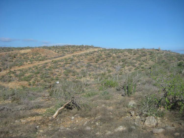 Foto Terreno en Venta en Los Cerritos, El Pescadero, El Pescadero, Baja California Sur - U$D 68.000 - TEV177499 - BienesOnLine