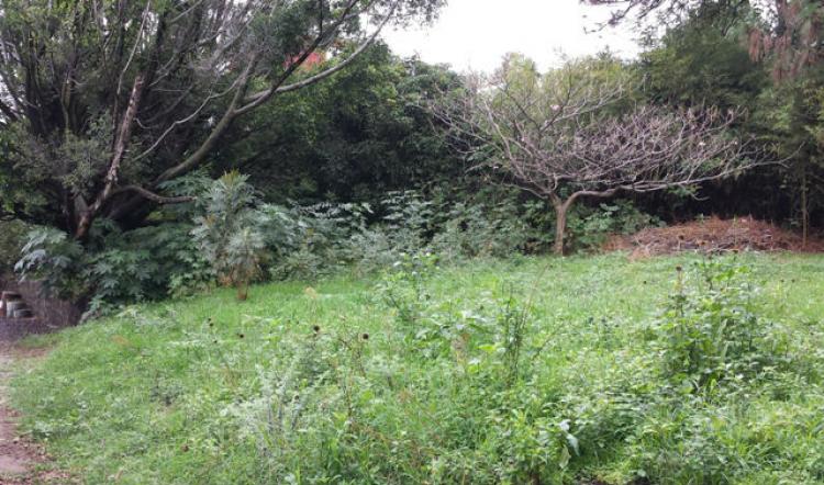 Foto Terreno en Venta en Chamilpa, Cuernavaca, Morelos - $ 1.600.000 - TEV134724 - BienesOnLine