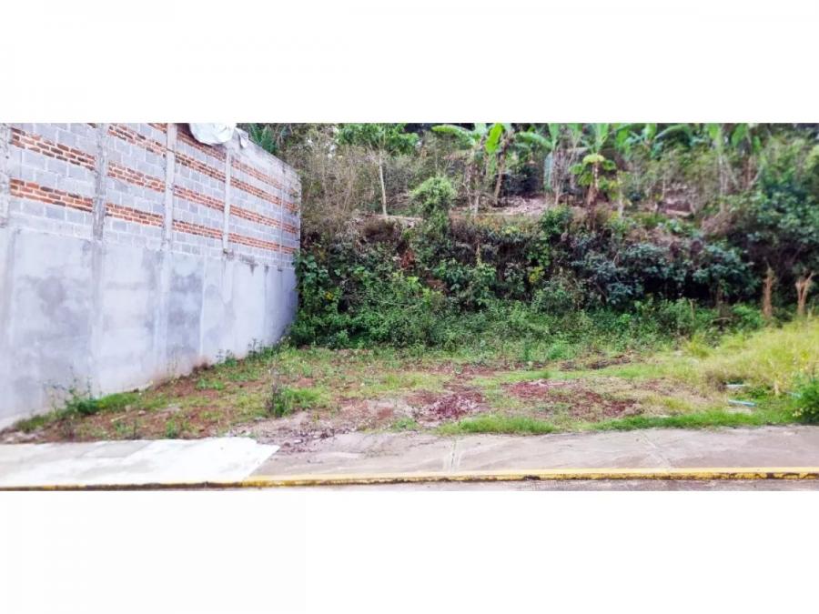 Foto Terreno en Venta en Municipio Emiliano Zapata, Veracruz - $ 350.000 - TEV325721 - BienesOnLine